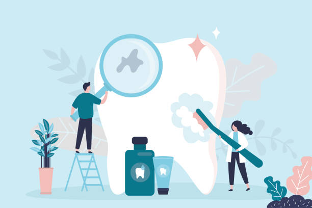 French Camp, CA  Holistic Dental Services Company